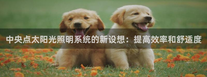 中央点太阳光照明系统的新设想:提高效率和