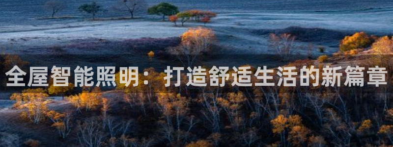 全屋智能照明:打造舒适生活的新篇章